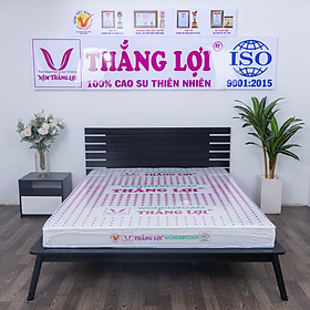 Nệm cao su TL Wonder foam phẳng Tundo