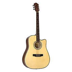 Mua Đàn Guitar Acoustic Vines VA4125N