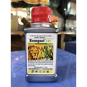 Mua THUỐC TRỪ SÂU Reasgant hoạt chất Abamectin  trị sâu cuốn lá  sâu đục thân  nhện gié  sâu khoang (100ml)