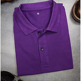 Áo Thun Cá Sấu Nam Nữ Thời Trang Cao Cấp 40kg-80kg .Màu tím