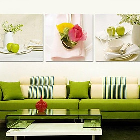 Tranh Canvas treo tường nghệ thuật | Tranh bộ nghệ thuật 3 bức | HLB_263