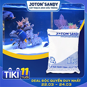 1kg cát thạch anh siêu trắng Joton Sandy cho bể cá và bể lọc