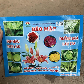 Chậu hoa mai hoàng yến treo nhánh dài 40-50cm, cây hoa leo giàn nở rực rỡ treo ban công và sân vườn