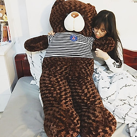 Thú bông Gấu Teddy màu nâu đen siêu to khổng lồ - Khổ vải 1M8 cao 1M6