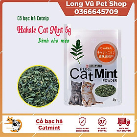 Cỏ Bạc Hà Catnip HAHALE Cho Mèo 5g