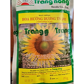 Hạt Giống Hướng Dương Trang Nông TN 282