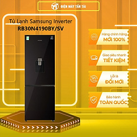 Mua Tủ lạnh Samsung Inverter 307 lít RB30N4190BY/SV - HÀNG CHÍNH HÃNG (CHỈ GIAO HCM)