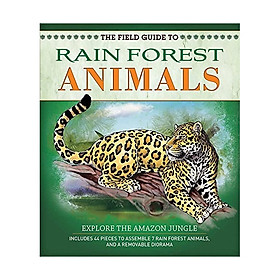 Bạn muốn tìm kiếm những loài động vật dễ thương nào trong rừng mưa nhiệt đới?