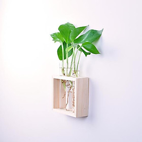 Glass Flower Plant Stand / Hanging Vase Tube Terrarium Home Garden DIY Decor
