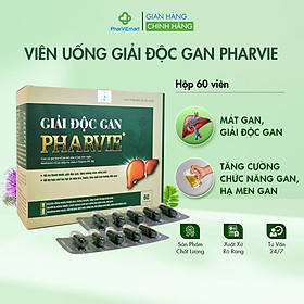 Viên Uống Giải Độc Gan PharVie, Hỗ Trợ Tăng Cường Chức Năng Gan, Hạ Men Gan (Hộp 60 viên nang)