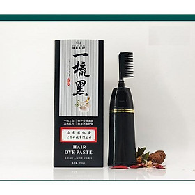Lược Nhuộm Tóc Đen Chiết Xuất Từ Thảo Dược Dye Paste Chai Lớn 200Ml