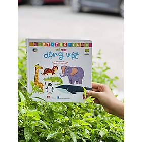 Sách thiếu nhi lật mở Đinh Tị - cảm xúc, yêu thương và thế giới động vật (3 quyển)