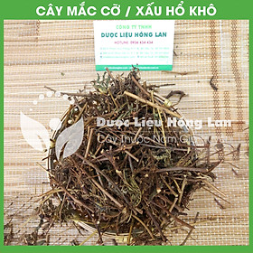 Cây Mắc Cỡ (Xấu Hổ) khô 1kg