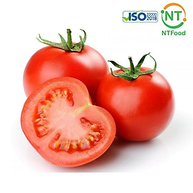 1 Kg Cà chua Đà Lạt – tươi ngon mỗi ngày – Nhất Tín Food – NT FOOD >>> top1shop >>> tiki.vn