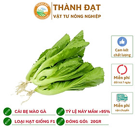 Mua Hạt giống rau  hạt giống cải mào gà Nông Hưng Phú (20gr ~4000 hạt) hạt chuẩn F1