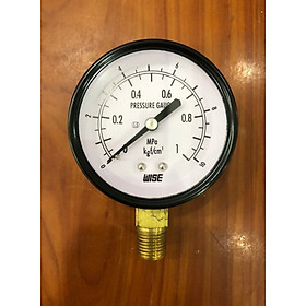 Dụng cụ đo áp suất P110-60A - dãy đo Mpa / Kgf/cm2