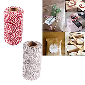 2Rolls 328 Feet (100m)Colored Cotton Twine String Rope Cord for Crafts