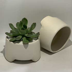 Bộ 2 Chậu Sứ - 9x9x6 Cm - Mầu Trắng - Dáng Kiềng - Gốm Bát Tràng - Chậu Trồng Cây Mini Để Bàn, Sen Đá, Xương Rồng, Cây Cẩm Nhung (Fittonia, May Mắn) & Tiểu Cảnh Terrarium