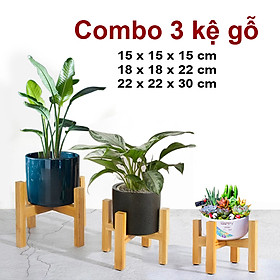 Đôn gỗ, kệ gỗ, giá gỗ để cây cảnh , combo 3 kích thướt (14.5x14.5x15cm - 16.5x16.5x18cm - 20x20x25cm)