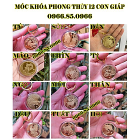 Lì xì Móc khóa Xu 12 con giáp Lưu niệm Mạ Vàng, Kèm Hộp Bảo Quản LGLSC000401