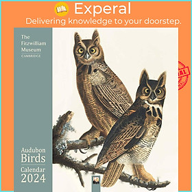 Sách - Fitzwilliam Museum: Audubon Birds Wall Calendar 2024 (Art Calendar) by Unknown (US edition, paperback)