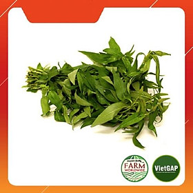 Chỉ giao HCM Rau răm 10kg