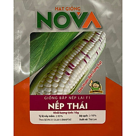 Hạt giống bắp nếp lai F1 Nếp Thái - dẻo thơm đến từng hạt_dễ trồng, ngắn ngày, năng suất cao_ nhập khẩu Thái Lan- hàng chính hãng