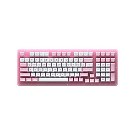 Mua Bàn phím cơ AKKO ACR98 Pink (Akko CS Switch) - Hàng Chính Hãng