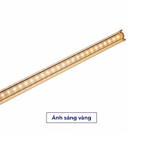Mua Đèn LED Trồng Cây  Đèn Quang Hợp Trồng Rau  Hoa và Cây Cảnh Trong Nhà  Đảm Bảo Chính Hãng Chất Lượng Cao