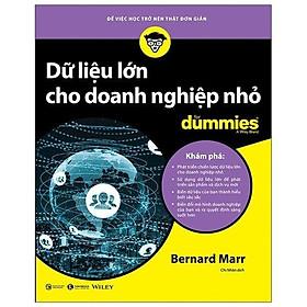 Dữ liệu lớn cho doanh nghiệp nhỏ for dummies; 159k