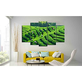 Tranh Ruộng Bậc Thang |Cánh Đồng Lúa Sapa |T3M-217