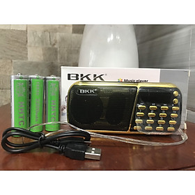 Mua Loa nghe nhạc usb  thẻ nhớ  FM BKK 853 - Hàng Nhập Khẩu