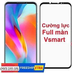 Cường Lực Full Màn dành cho Vsmart Live 4 / active 3 4 / joy 2+ / joy 3 4 / Star 3 4 / active 1 plus / joy 1- 1plus / aris