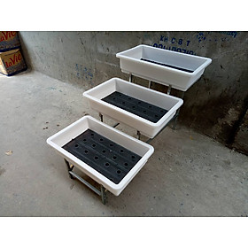 Mua Kệ Trồng Rau Sạch Bậc Thang 3 Tầng Chậu Đại Chưa Gồm Chậu