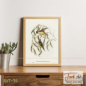 Mua Tranh canvas vintage  - Vẹt (Trichoglossus Porphyrocephalus) - BVT-76