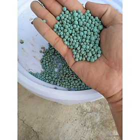 1kg Hạt Zeolite INDONESIA, THAILAND chuyên dùng để hấp thu loại bỏ khí độc hồ cá Koi, hồ tôm
