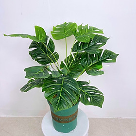 Cây trầu bà giả - 12 lá - cao 60cm - Cây giả, hoa lụa trang trí nhà cửa