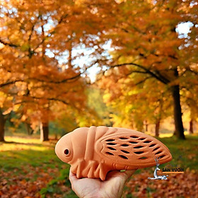 Mua Decor Gốm Đất Nung Trang Trí Hình CON VE (Cicada Terracotta decoration) size 25x15cm