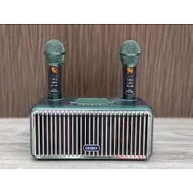 Mua Loa Karaoke SDRD SD-319 (Kèm 02 Micro Không Dây)