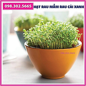 Bộ 5 gói Hạt rau mầm rau cải xanh - gói 50g - Trồng rau mầm sạch, rau mầm hữu cơ an toàn tại nhà