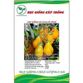 Hạt Giống Cà Chua Lê Vàng CT274 - Gói 30 hạt