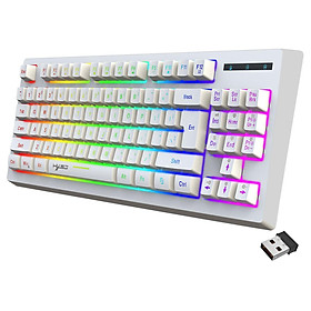87Keys 2.4G Wireless Mechanical Keyboard, RGB Backlight USB2.0 Receiver Indicator Light L100 Gaming Keyboard, for Office Notebook Home Study