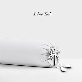 Vỏ Gối Ôm Lụa Tencel Hàn Quốc Cao Cấp À Ơi Concept Màu Trơn Nhiều màu Dây kéo khoá Size 37x100 cm