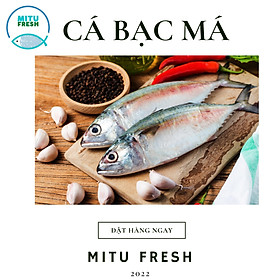 Cá Bạc má nguyên con (7-8 con/kg)