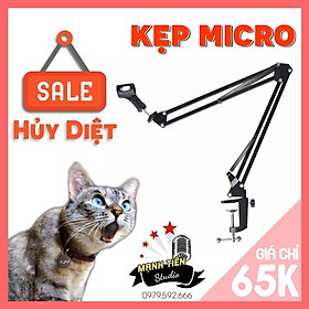 Mua Chân Đế Micro Kẹp Bàn Thu Âm Live Stream