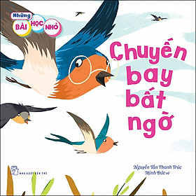 Sách Những Bài Học Nhỏ. Chuyến Bay Bất Ngờ