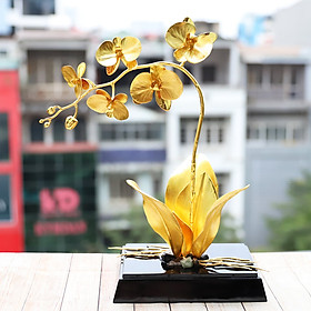 Mua Chậu hoa phong lan phú quý mạ vàng 24K: Quà tặng độc đáo nhân dịp sinh nhật  tân gia cho sếp