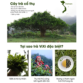 Trà xanh ViXi trà Shan Tuyết cổ thụ lá rời 1 búp 2 lá 150gr - 500gr