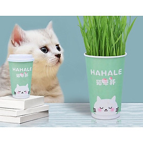 Hạt giống cỏ mèo bổ xung chất xơ và đẩy búi lông ra ngoài