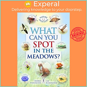 Sách - What Can You Spot in the Meadows? by Ben Hoare (UK edition, paperback)